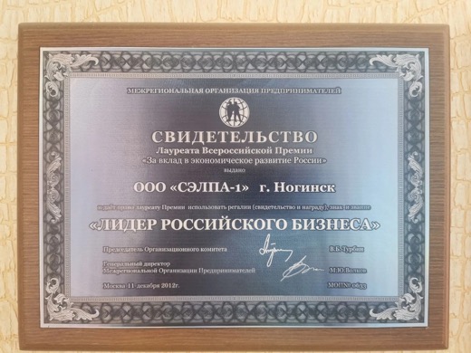 Свидетельство Лидер российского бизнеса