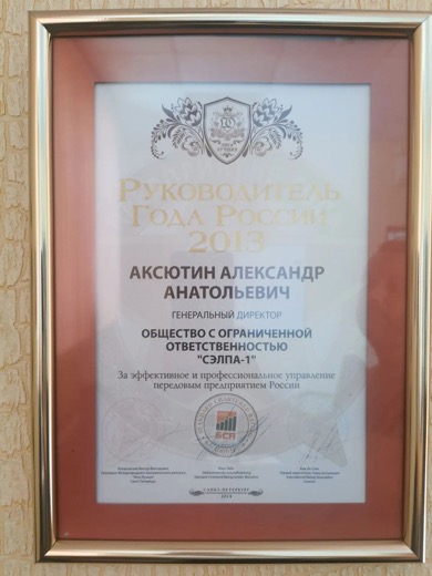 Руководитель года России 2013