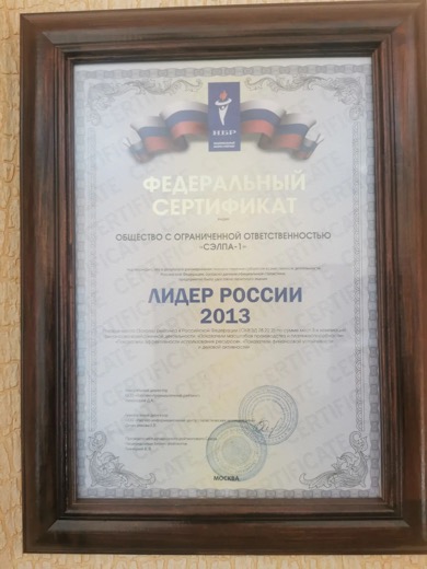 Федеральный сертификат Лидер России 2013